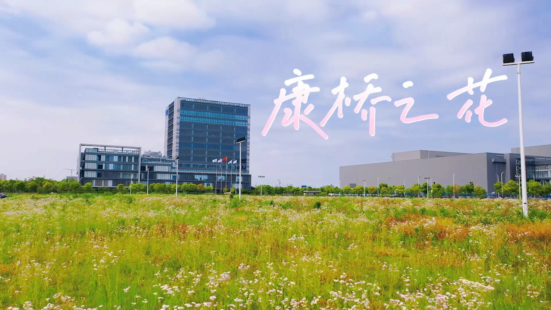 CA88手机客户端(官网)CA888会员登录入口